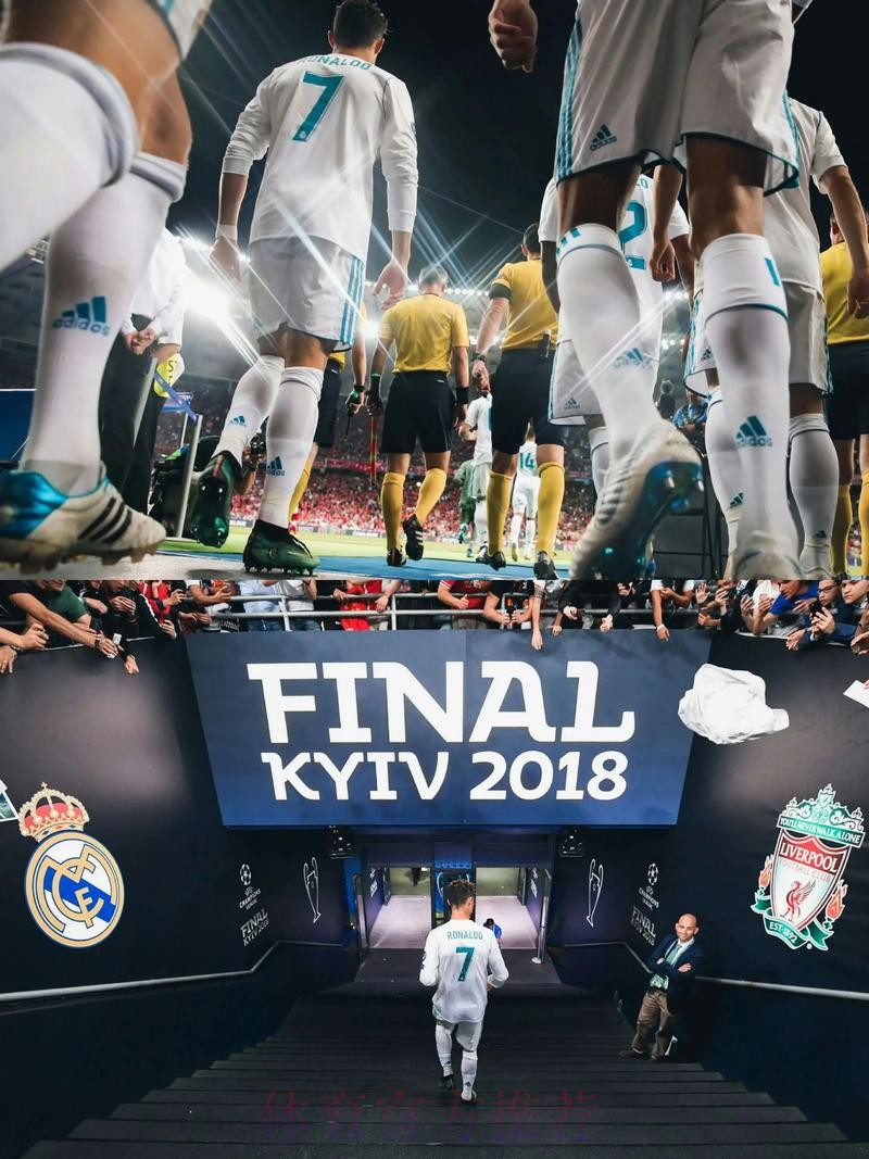 范尼:离开皇马是生涯最大错误 我总说C罗是最佳球员